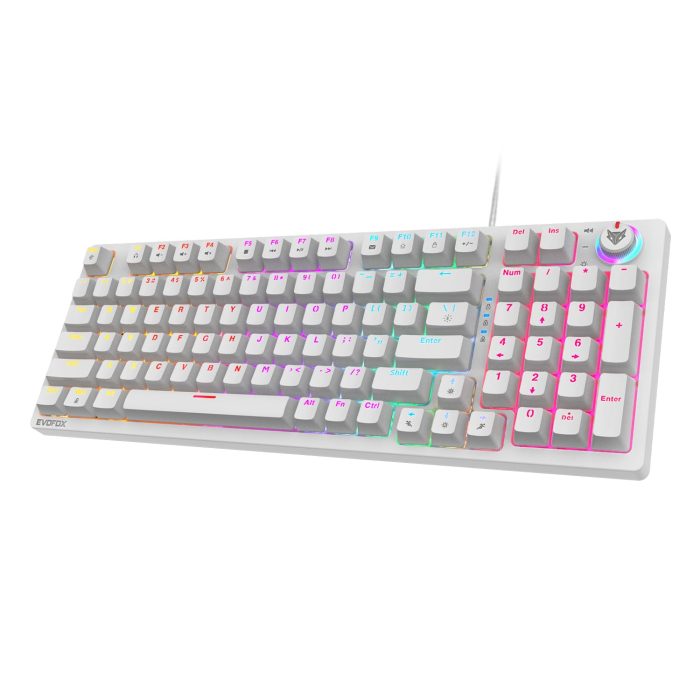 61RTINCgsJL. SL1500