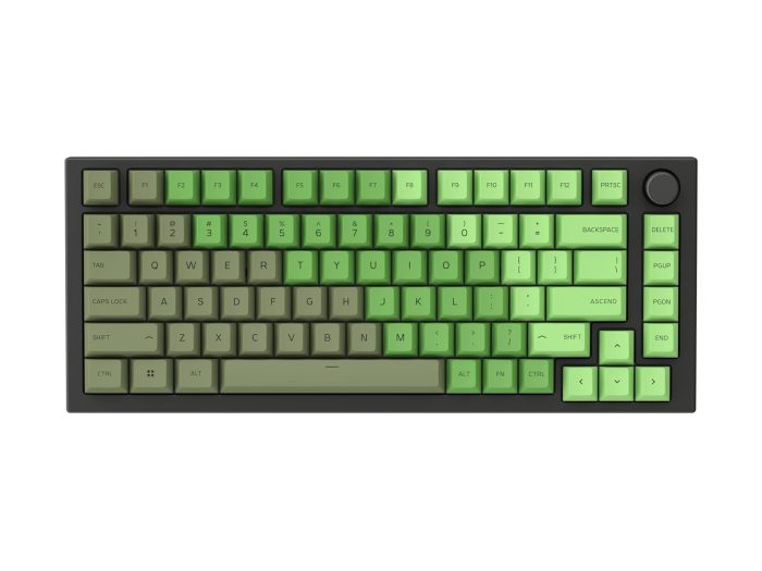 711oVAQf+hL. SL1500