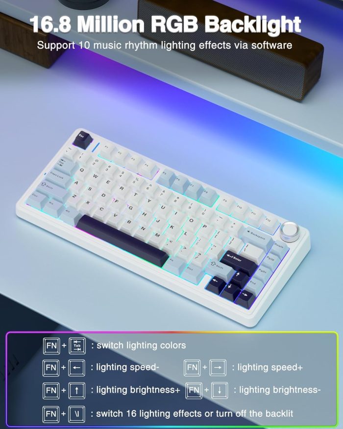 71U5JPvvi0L. SL1500