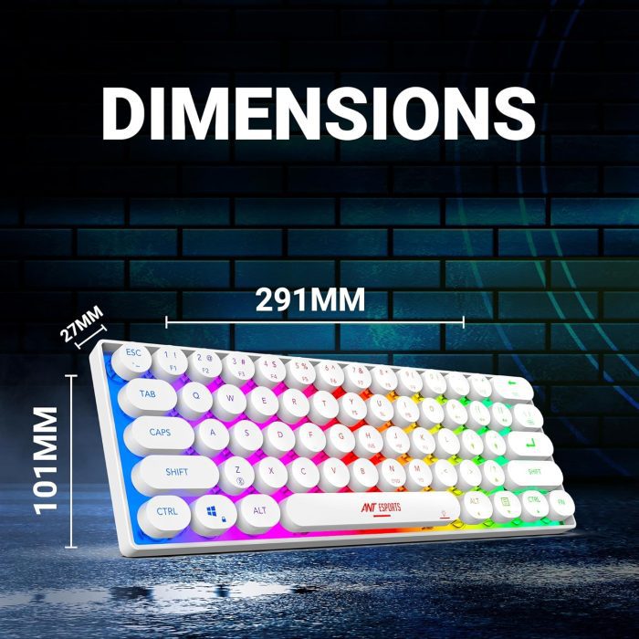 81lZc7L1UnL. SL1500